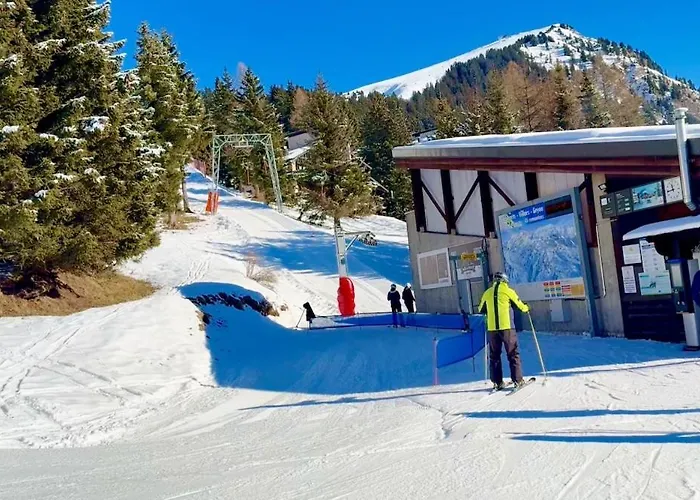 Apartment 131 Modern Alpe Des Chaux 2 People