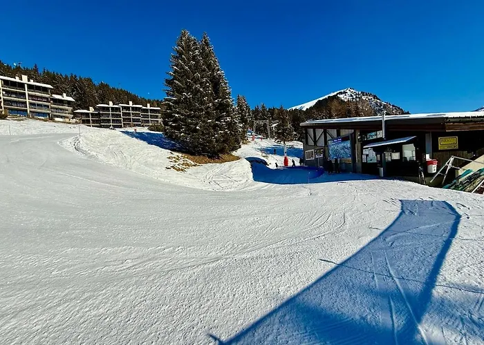 131 Modern Alpe Des Chaux 2 People Apartment