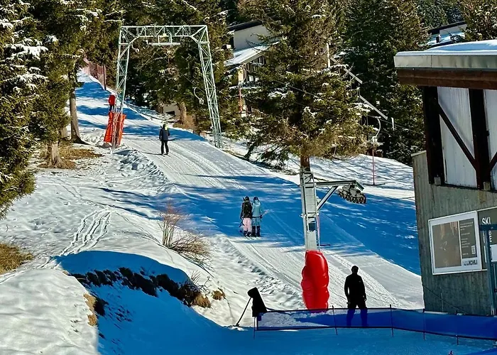 131 Modern Alpe Des Chaux 2 People Appartamento *