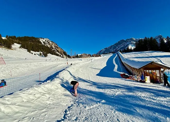 Appartamento 131 Modern Alpe Des Chaux 2 People Gryon